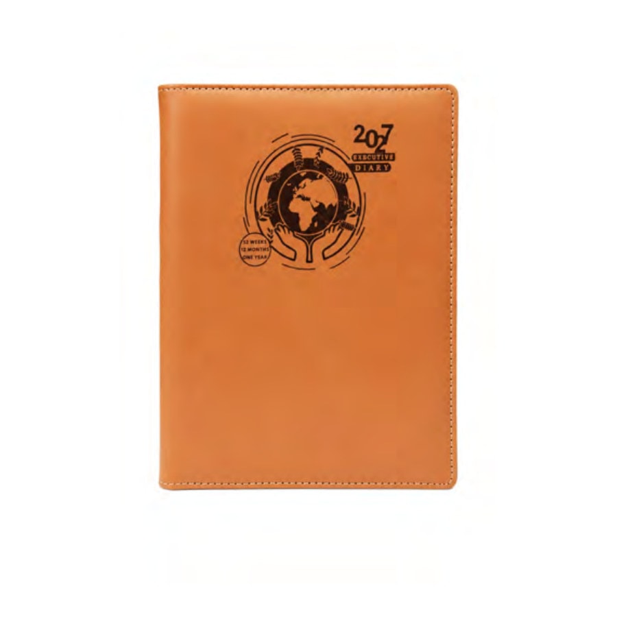 Globe 2027 Economy Diary — Light Orange